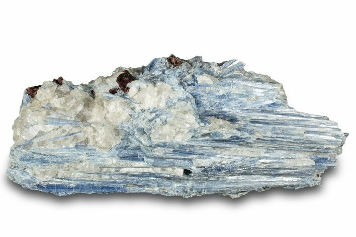 Vibrant Blue Kyanite Crystals and Staurolite In Quartz - Brazil #322581